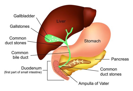 gastric doctor in tiruchirappalli